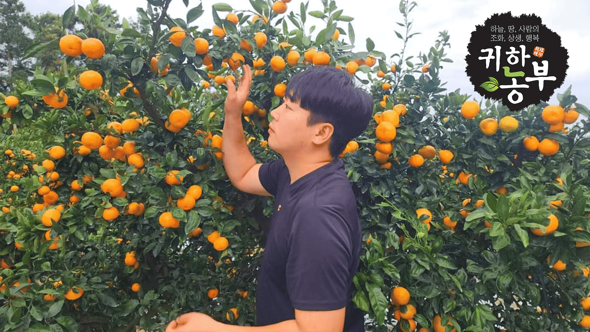 친환경제주귀한농부 영농조합법인 이미지 2