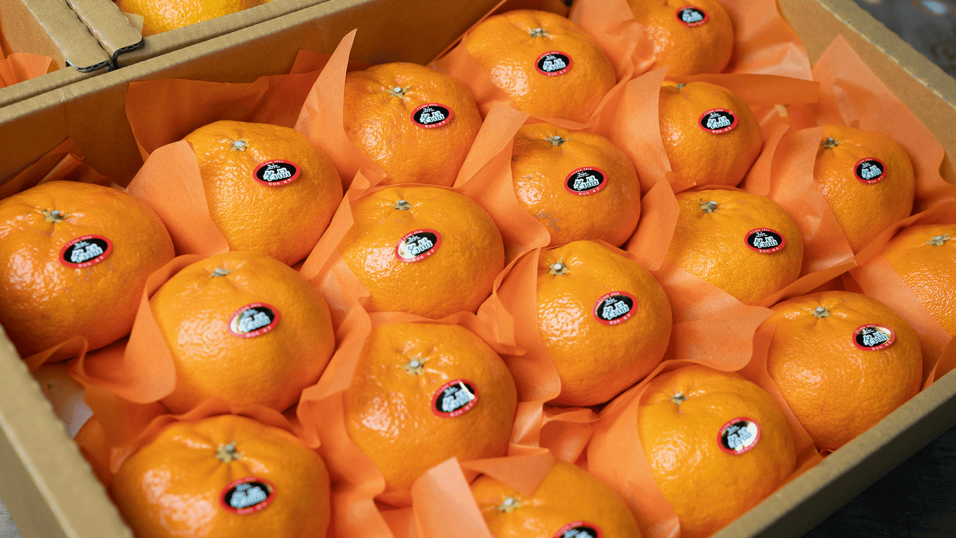 특상품레드향3kg(7~14과)(무료배송)